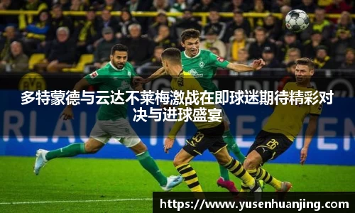 金年会